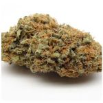 Шишки AK47  (Гидропоника, Бошка) VHQ в Кимовске